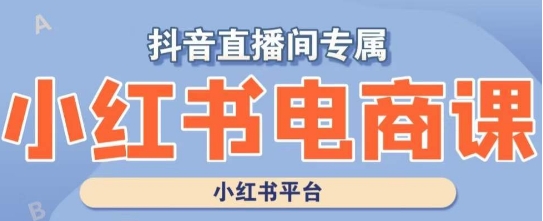 小红书电商高级运营课程，实操教学+案例分析-云帆项目库