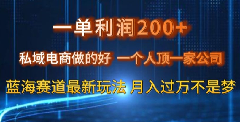 一单利润200私域电商做的好，一个人顶一家公司蓝海赛道最新玩法【揭秘】-云帆项目库