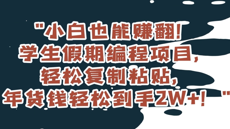 小白也能赚翻！学生假期编程项目，轻松复制粘贴，年货钱轻松到手2W+【揭秘】-云帆项目库