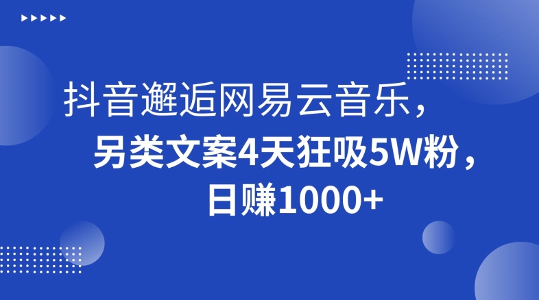 抖音邂逅网易云音乐，另类文案4天狂吸5W粉，日赚1000+【揭秘】-云帆项目库