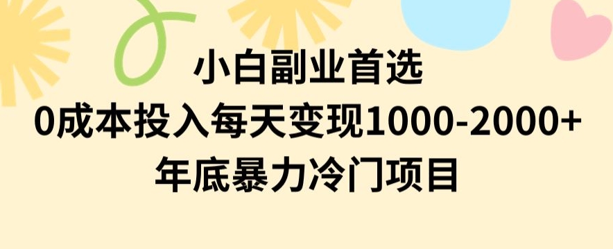 小白副业首选，0成本投入，每天变现1000-2000年底暴力冷门项目【揭秘】-云帆项目库