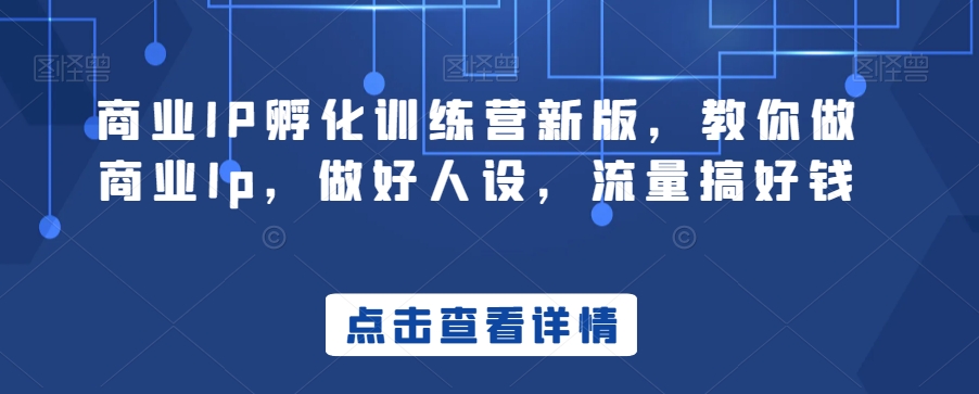 商业IP孵化训练营新版，教你做商业Ip，做好人设，流量搞好钱-云帆项目库