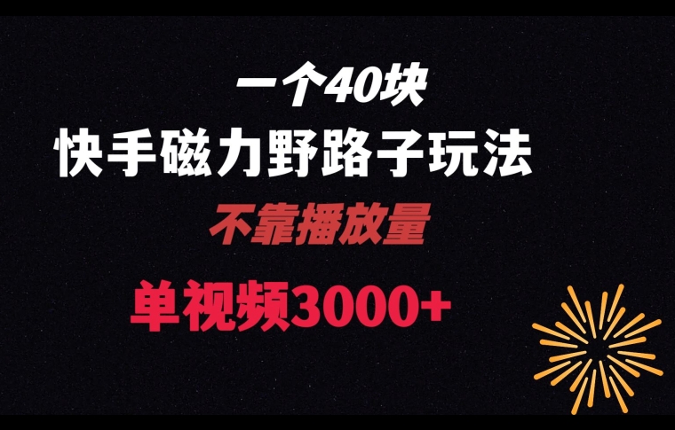 一个40块，快手联合美团磁力新玩法，无视机制野路子玩法，单视频收益4位数【揭秘】-云帆项目库