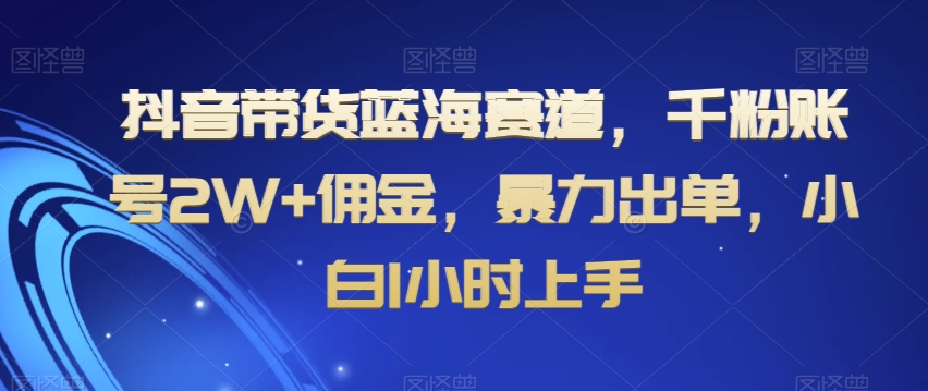 抖音带货蓝海赛道，千粉账号2W+佣金，暴力出单，小白1小时上手【揭秘】-云帆项目库