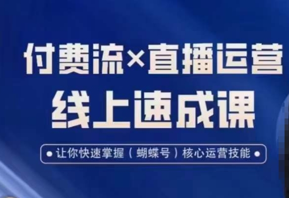 视频号付费流实操课程，付费流✖️直播运营速成课，让你快速掌握视频号核心运营技能-云帆项目库