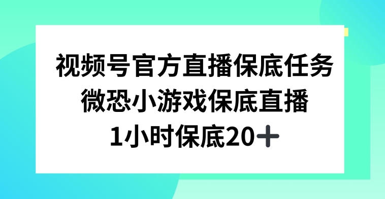 视频号直播任务，微恐小游戏，1小时20+【揭秘】-云帆项目库