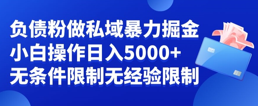 负债粉私域暴力掘金，小白操作入5000，无经验限制，无条件限制【揭秘】-云帆项目库