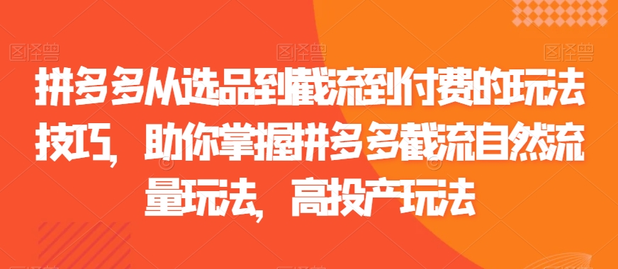 拼多多从选品到截流到付费的玩法技巧，助你掌握拼多多截流自然流量玩法，高投产玩法-云帆项目库