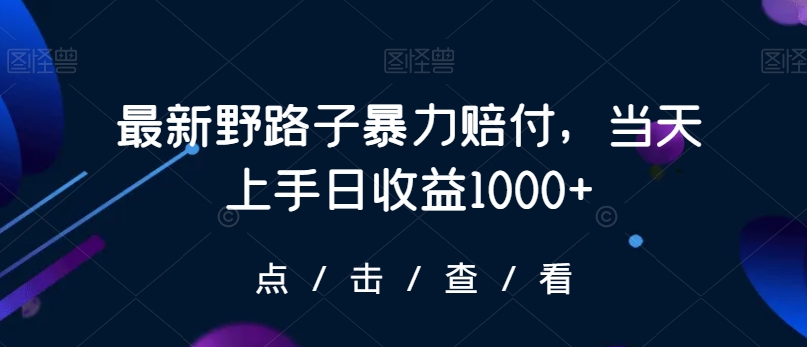 最新野路子暴力赔付，当天上手日收益1000+【仅揭秘】-云帆项目库