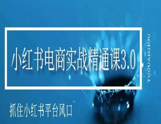 小红书电商实战精通课3.0，抓住小红书平台的风口，不错过有一个赚钱的机会-云帆项目库