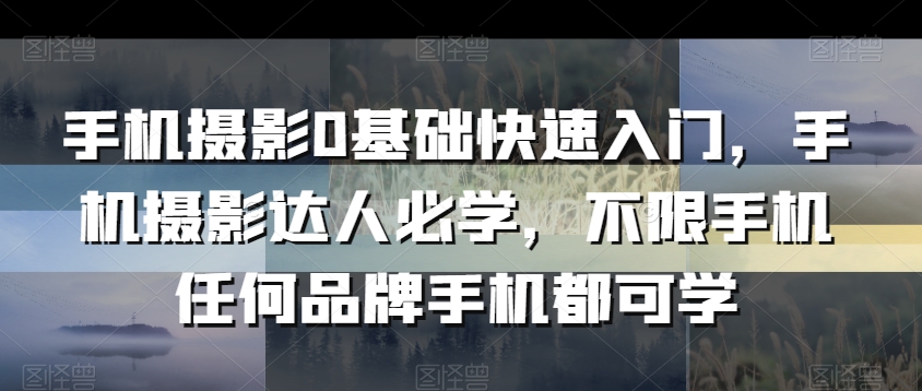 手机摄影0基础快速入门，手机摄影达人必学，不限手机任何品牌手机都可学-云帆项目库