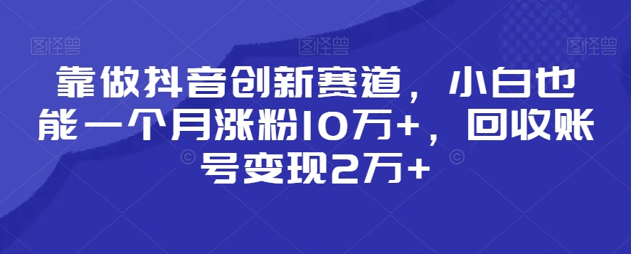 靠做抖音创新赛道，小白也能一个月涨粉10万+，回收账号变现2万+【揭秘】-云帆项目库