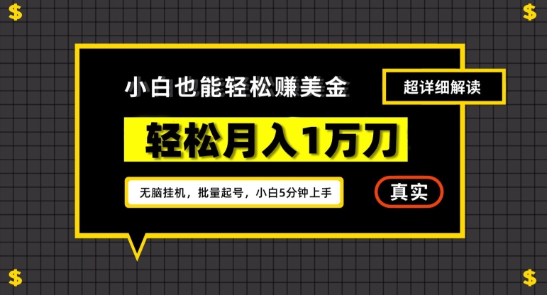 谷歌看广告撸美金2.0，无脑挂机，多号操作，月入1万刀【揭秘】-云帆项目库