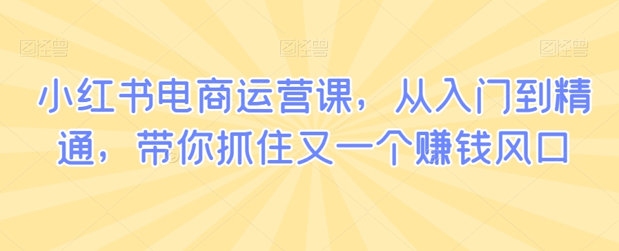 小红书电商运营课，从入门到精通，带你抓住又一个赚钱风口-云帆项目库