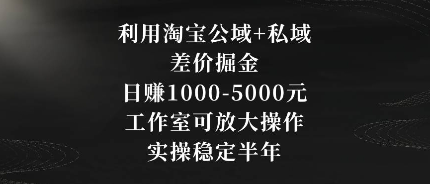 利用淘宝公域+私域差价掘金，日赚1000-5000元，工作室可放大操作，实操稳定半年【揭秘】-云帆项目库