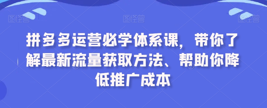 拼多多运营必学体系课，带你了解最新流量获取方法、帮助你降低推广成本-云帆项目库