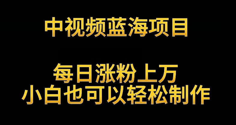 中视频蓝海项目，解读英雄人物生平，每日涨粉上万，小白也可以轻松制作，月入过万不是梦【揭秘】-云帆项目库