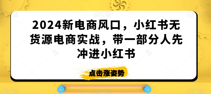 2024新电商风口，小红书无货源电商实战，带一部分人先冲进小红书-云帆项目库