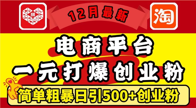 12月最新：电商平台1元打爆创业粉，简单粗暴日引500+精准创业粉，轻松月入过W【揭秘】-云帆项目库