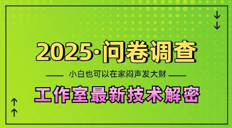 2025问卷调查最新工作室技术解密：一个人在家也可以闷声发大财，小白一天2张，可矩阵放大【揭秘】-云帆项目库