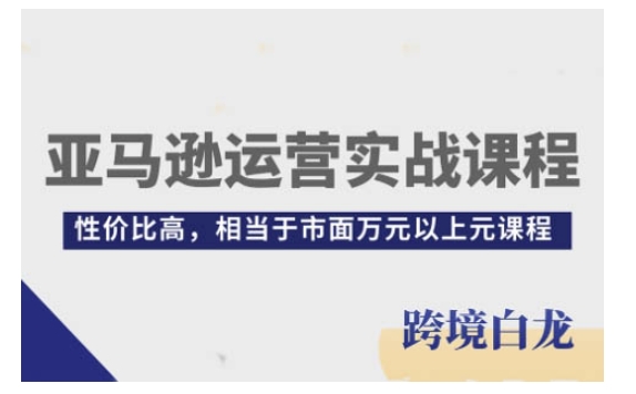 亚马逊运营实战课程，亚马逊从入门到精通，性价比高，相当于市面万元以上元课程-云帆项目库