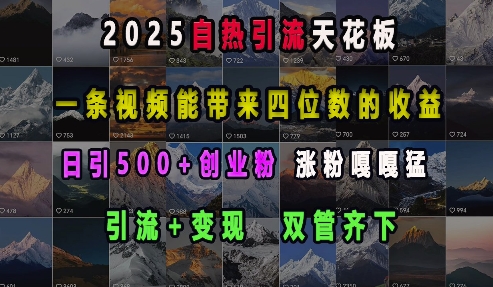 2025自热引流天花板，一条视频能带来四位数的收益，引流+变现双管齐下，日引500+创业粉，涨粉嘎嘎猛-云帆项目库