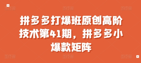 拼多多打爆班原创高阶技术第41期，拼多多小爆款矩阵-云帆项目库