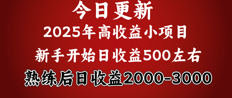 2025开年好项目，新手日收益500 熟练掌握后，日收益平均2000多-云帆项目库